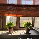 Apartment Despoinas Stone House In Kranidi